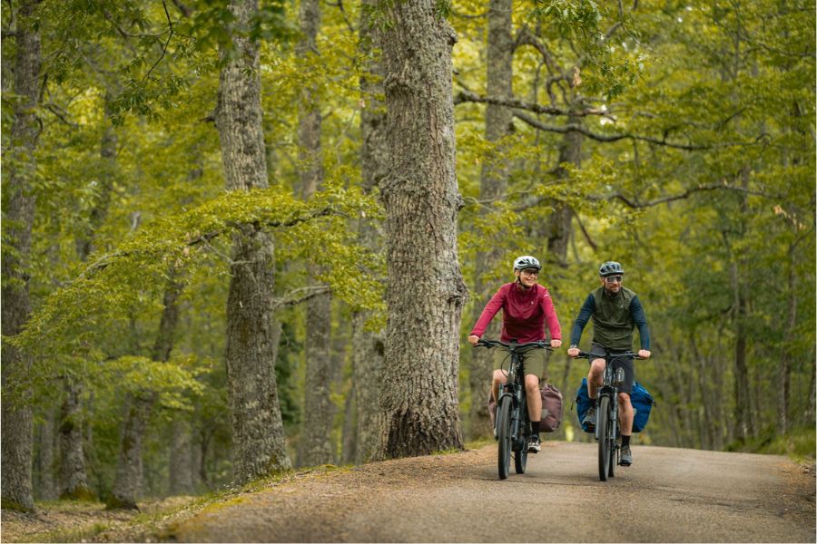 Best trekking / SUV electric mountain bikes 2026