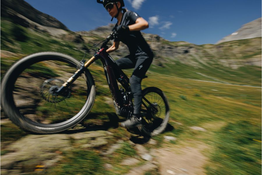 Specialized Turbo Levo 4