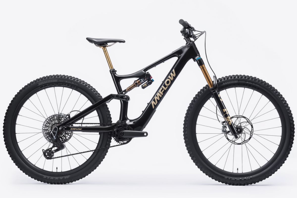 Amflow PL Carbon 800Wh