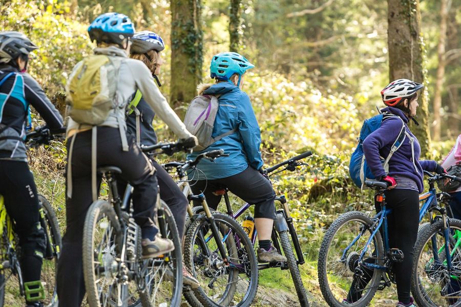 Wendover Woods (Chilterns)