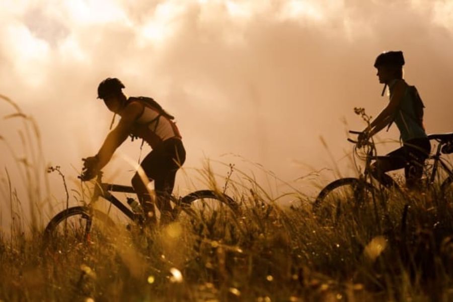 Rushmere Country Park