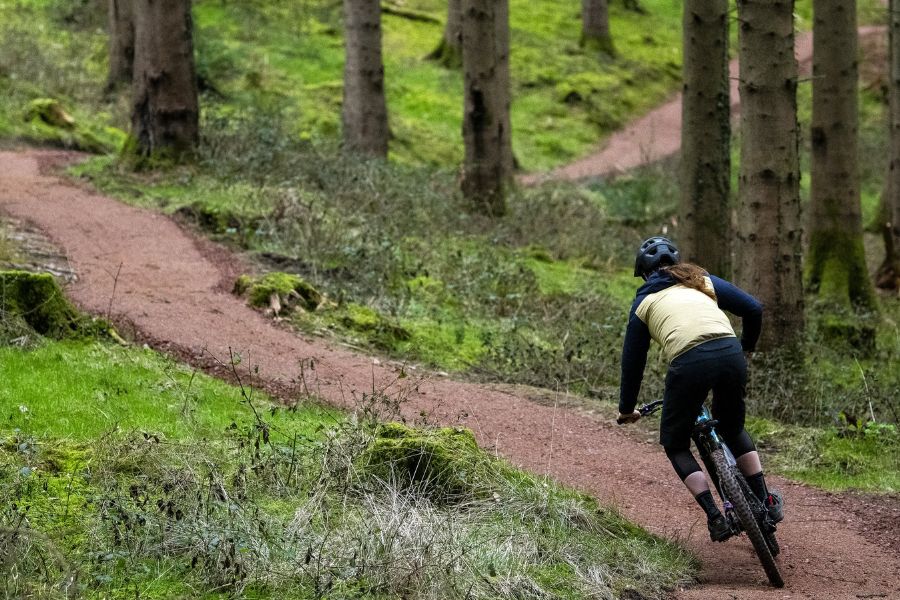 Forest of Dean Cycle Centre (Cannop)