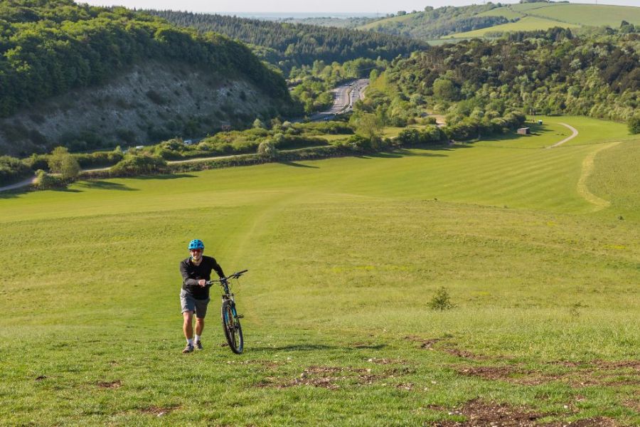 Queen Elizabeth Country Park (QECP – Horndean)