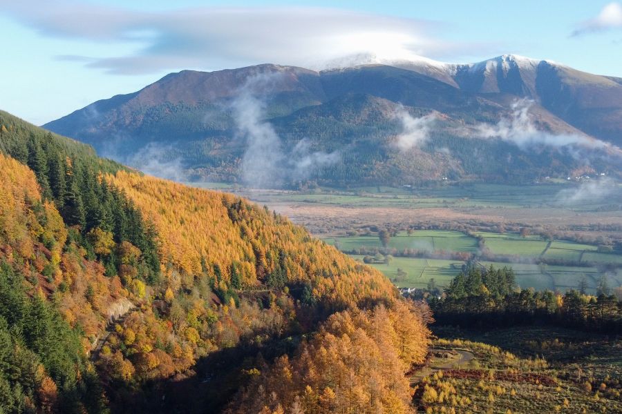 Whinlatter Forest (Keswick)