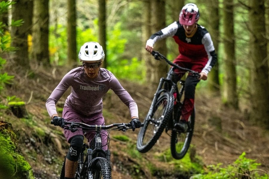 Haldon Forest Park (near Exeter)