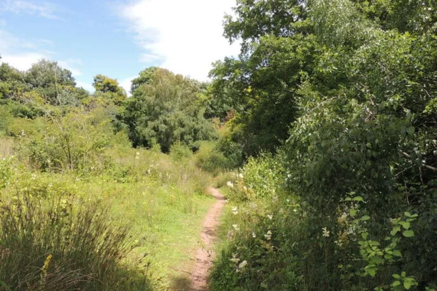 Great Doward (Symonds Yat / Wye Valley edge)