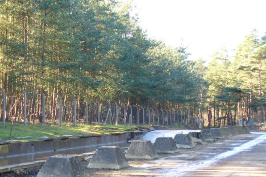 Hogmoor Inclosure (Bordon)