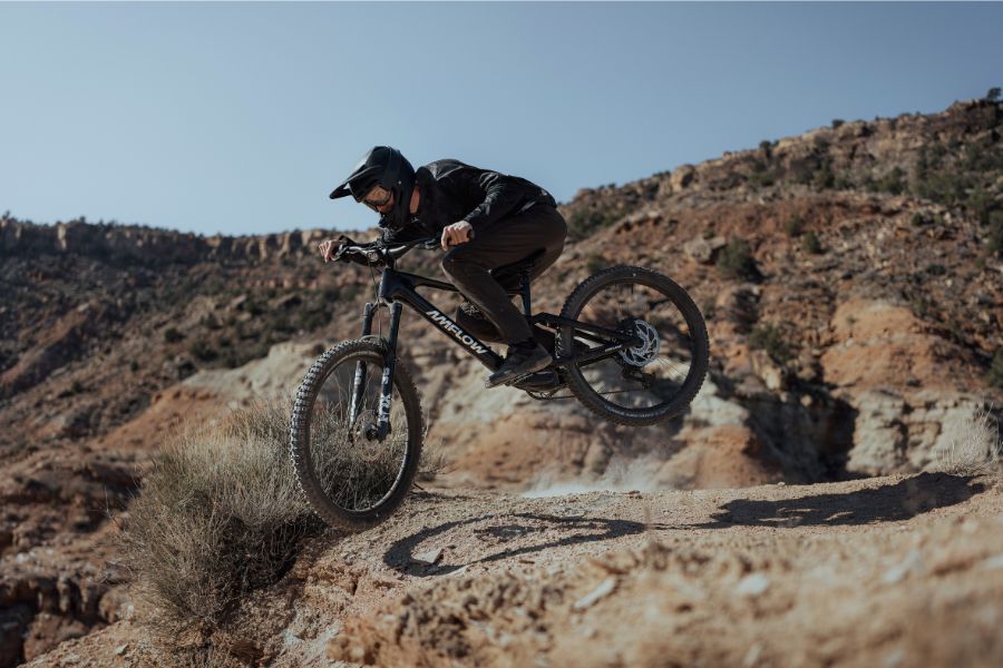 which bikes have an Avinox motor