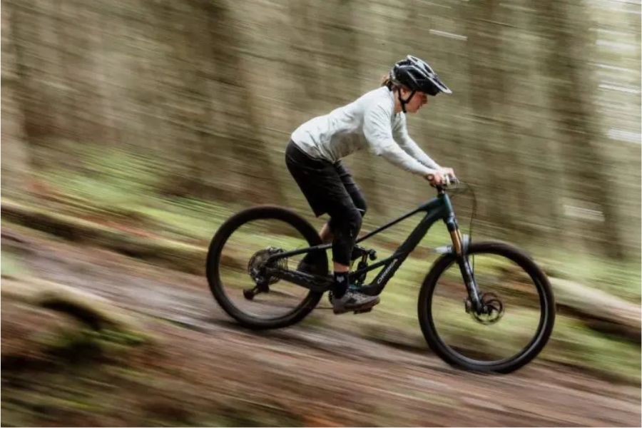 Orbea Wild LT Avinox