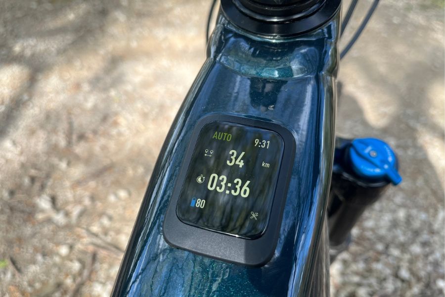 Specialized 3.1 Motor